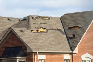 Beyond the Ordinary: Bad Bear's Roofing Revolution